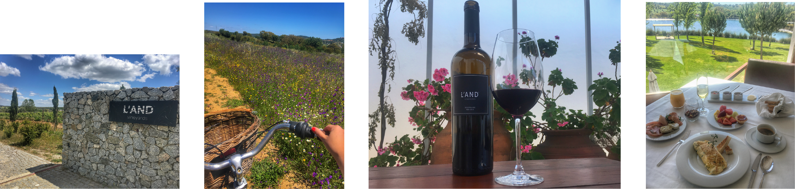 L'AND winery - Wine Paths