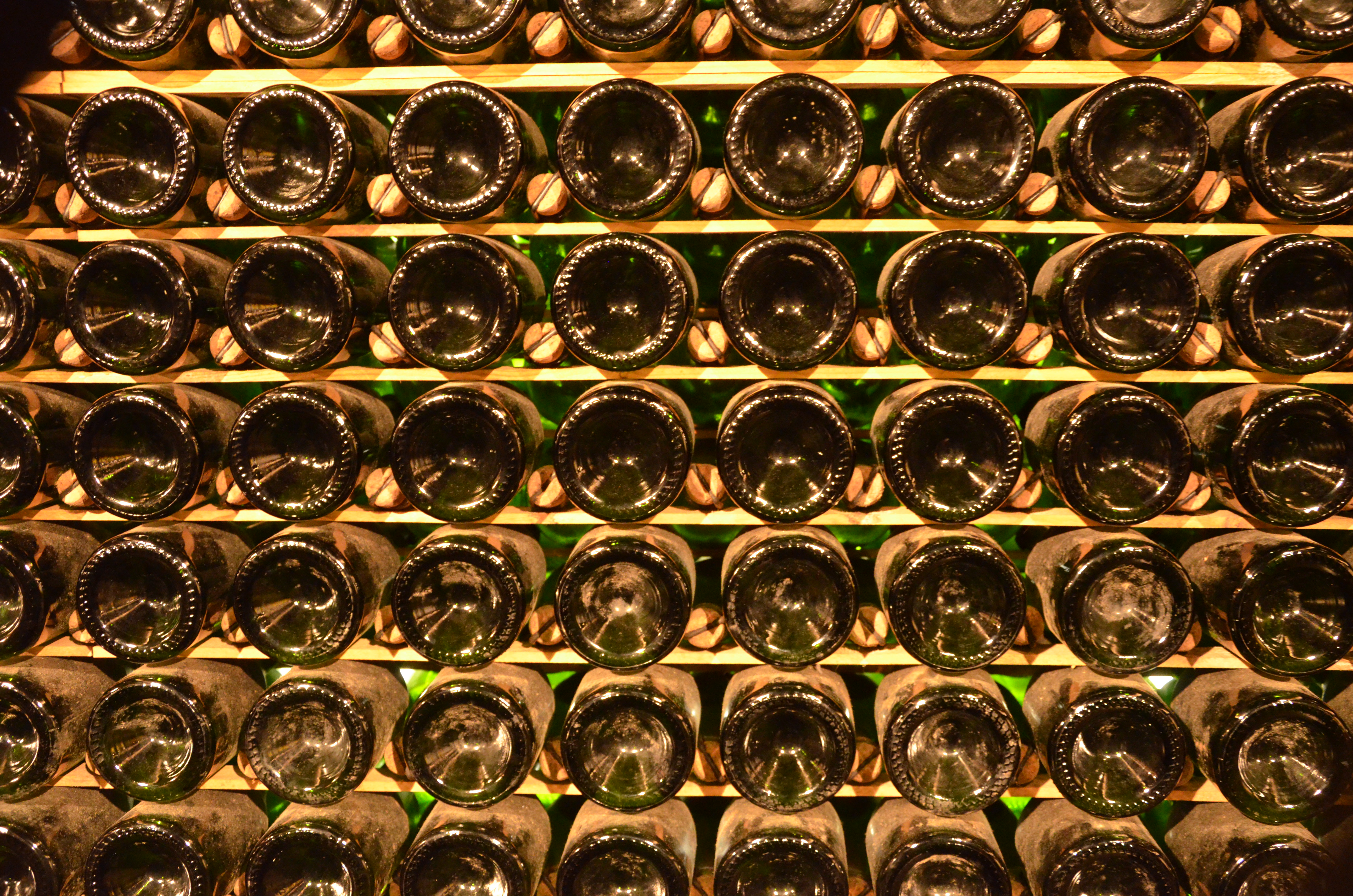 cava wine tour - Wine Paths