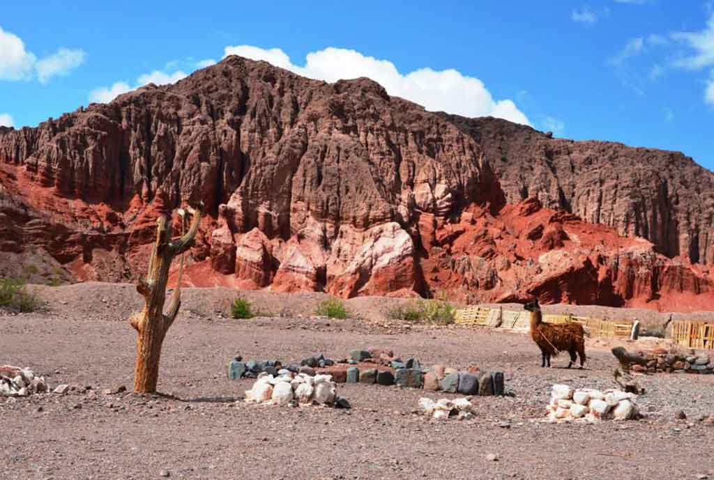 luxury tourism in argentina - Wine Paths