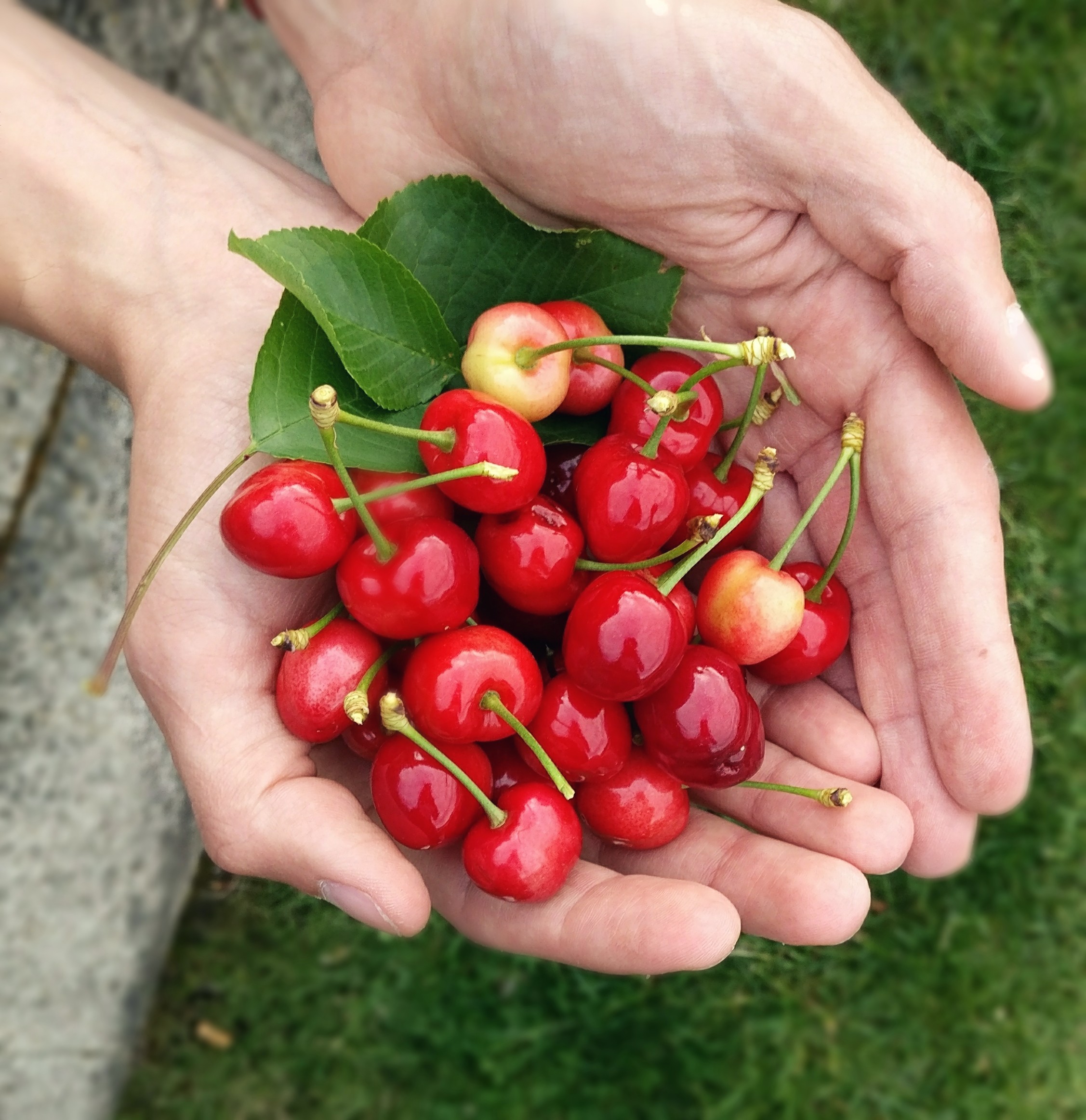 douro valley experience in portugal - Wine Paths