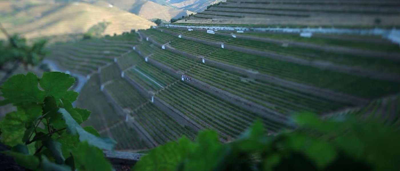 Quinta do Noval