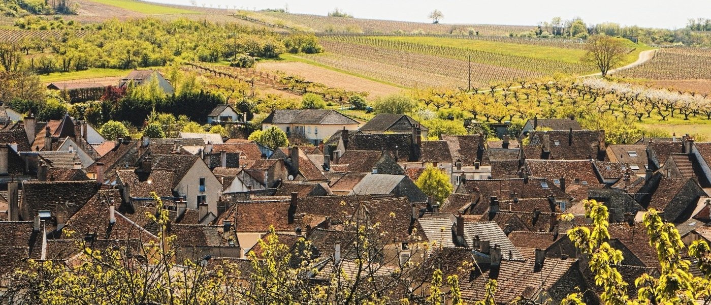 burgundy wine tours - Wine Paths