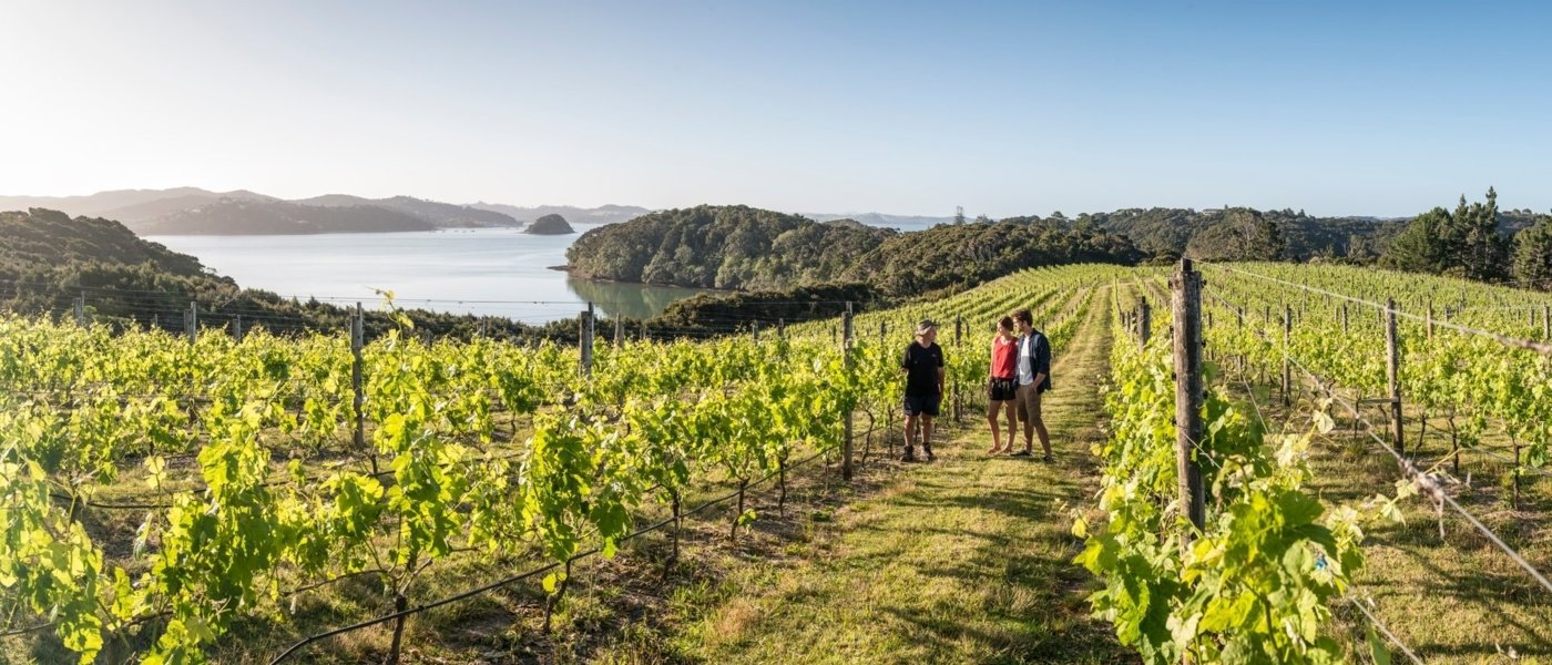 new zealand wine tours - Wine Paths