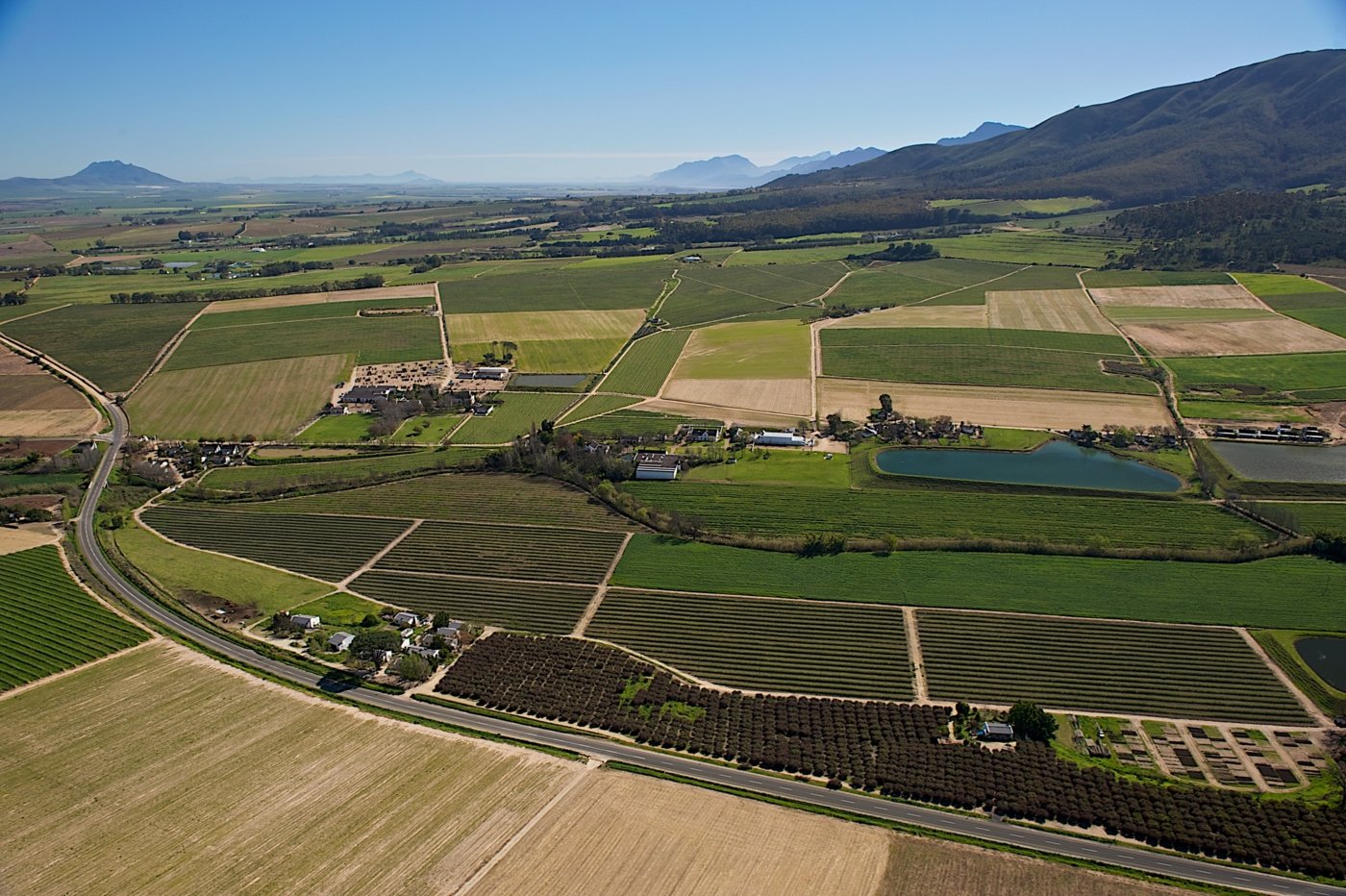 south africa wine tasting - Wine Paths