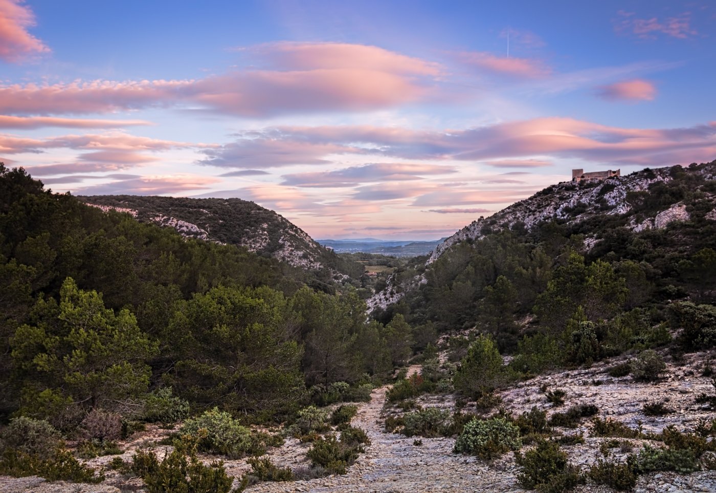 languedoc wine tours - Wine Paths