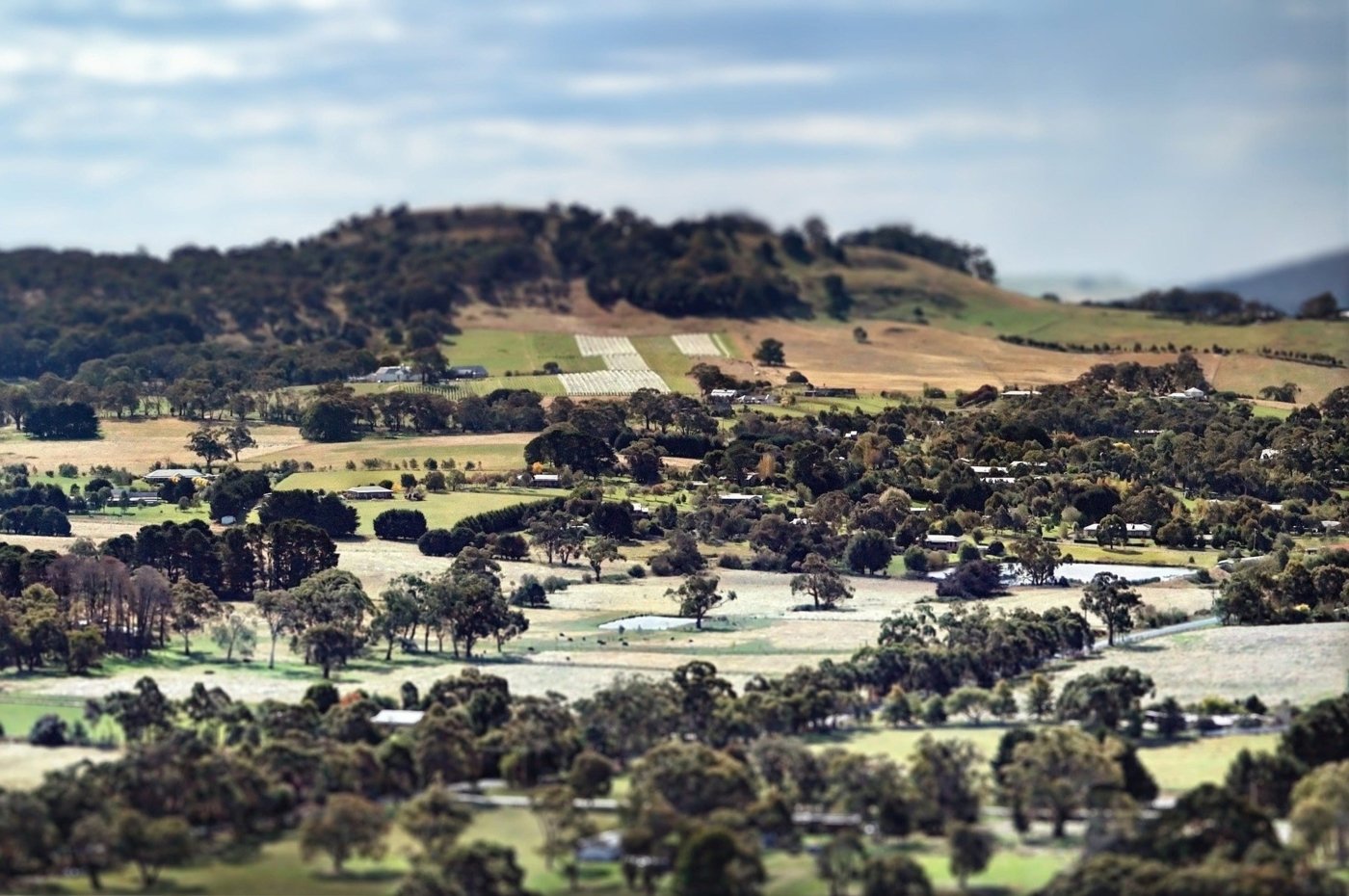 winery visit australia - Wine Paths