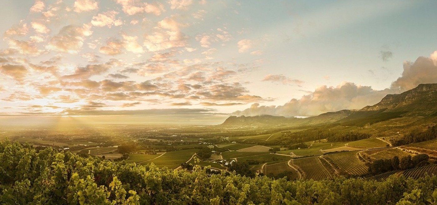south africa wine tastings - Wine Paths