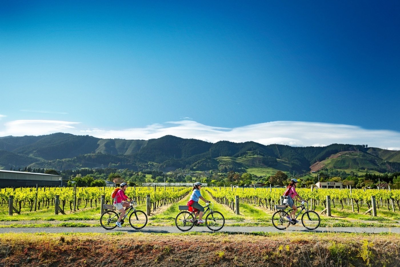 new zealand wine tastings - Wine Paths
