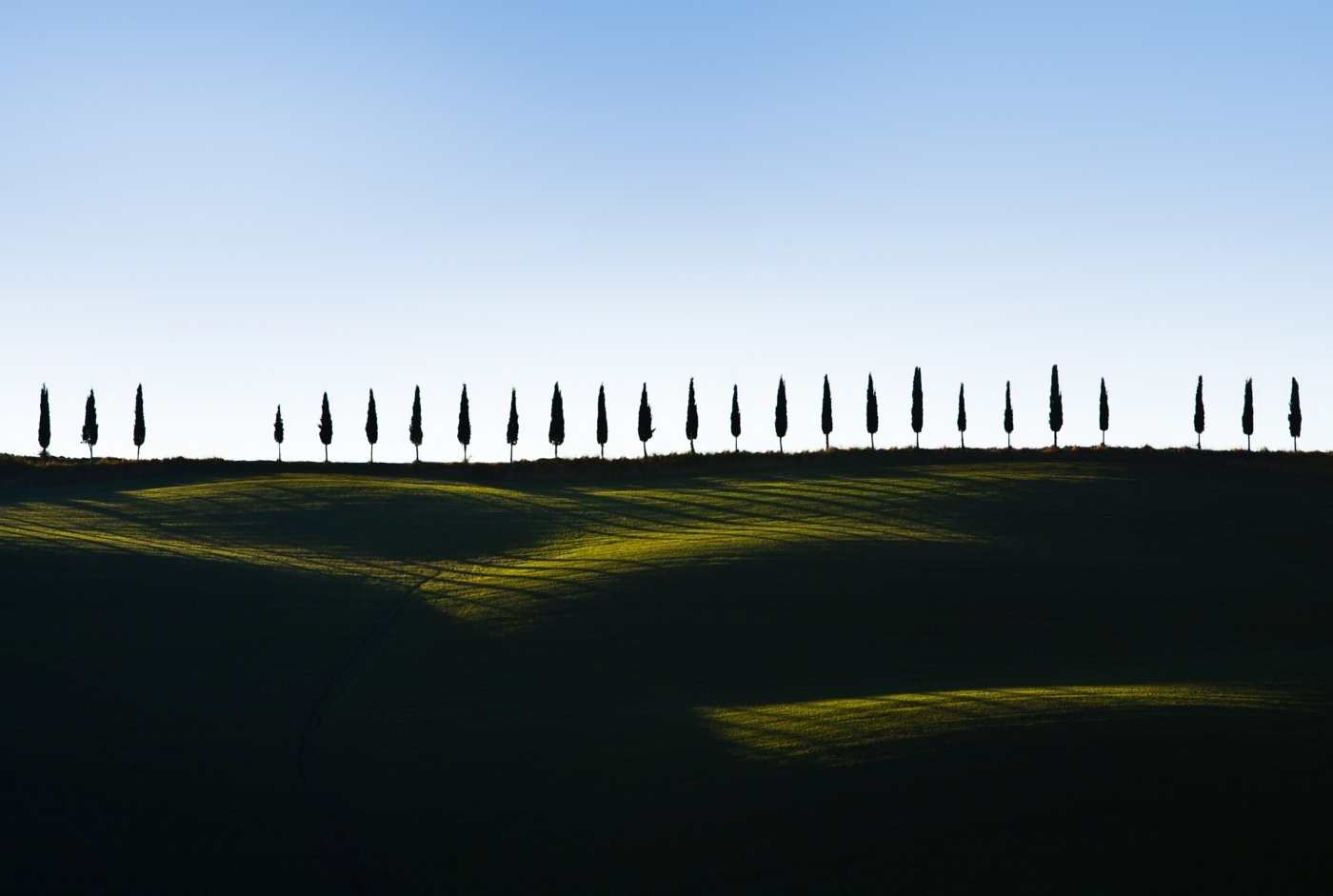 tuscany wine tours - Wine Paths