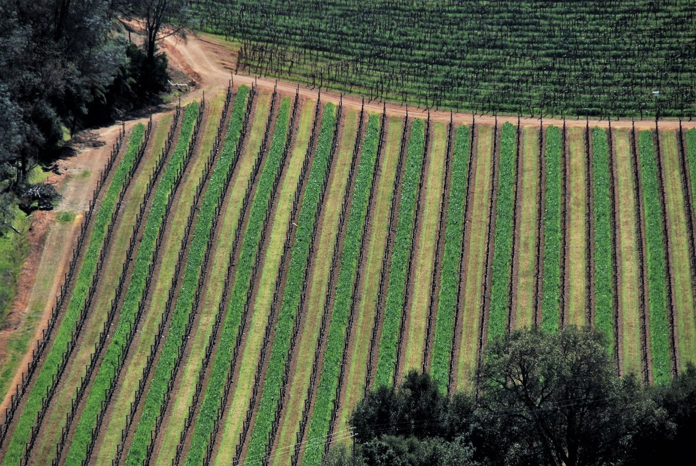 napa valley wine tastings - Wine Paths