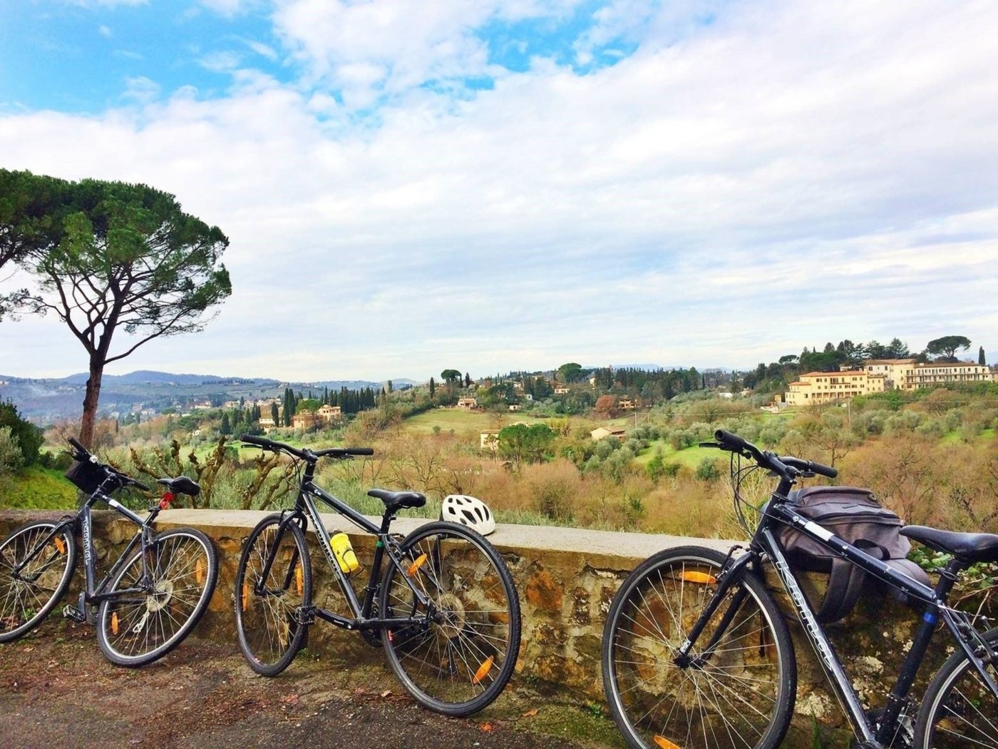 tuscany wine tourism - Wine Paths