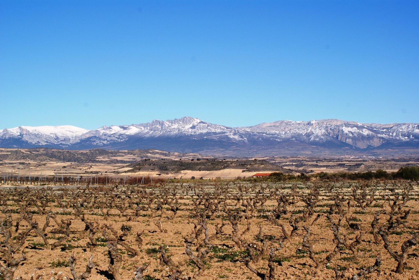 La Rioja landscape - Wine Paths