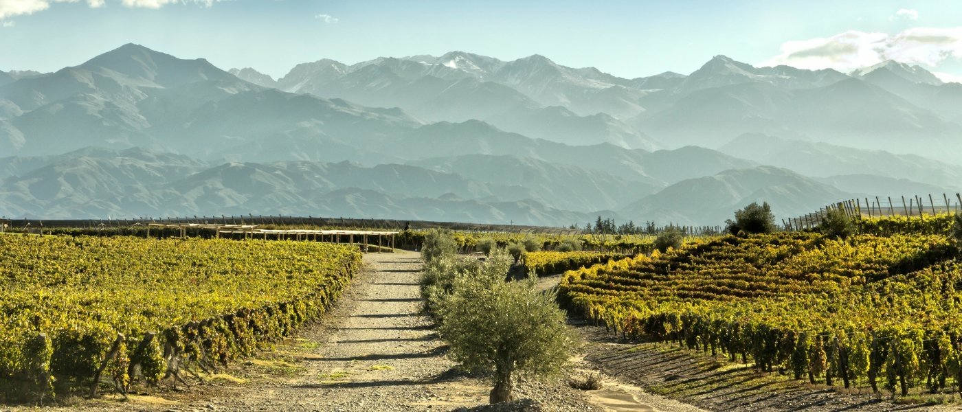 wine tasting mendoza - Wine Paths
