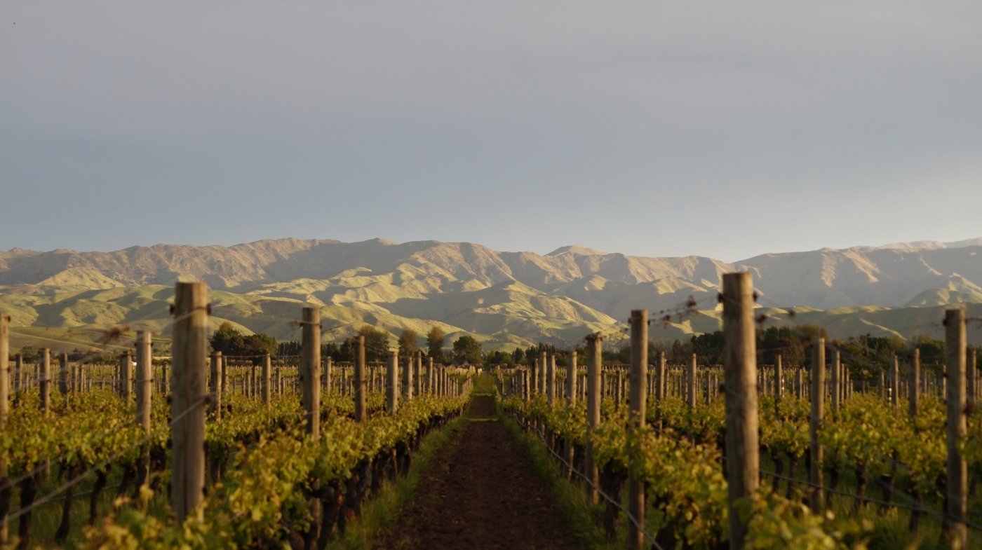 new zealand wine tastings - Wine Paths