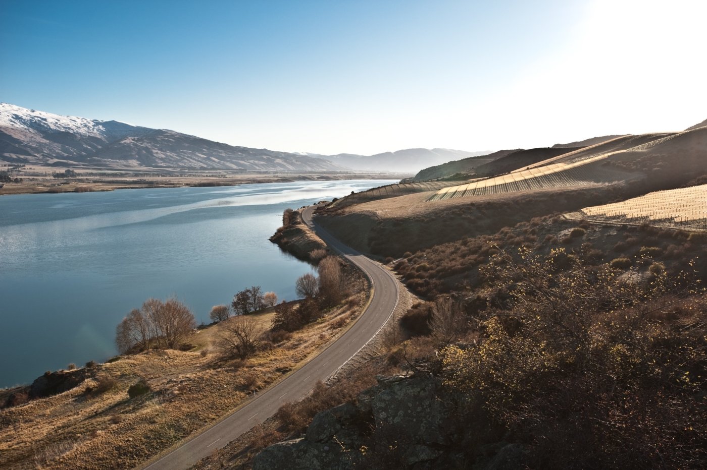 new zealand wine tastings - Wine Paths