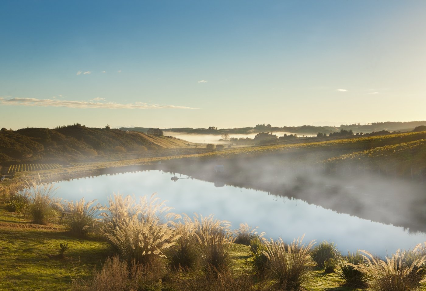wine regions New Zealand - Wine Paths
