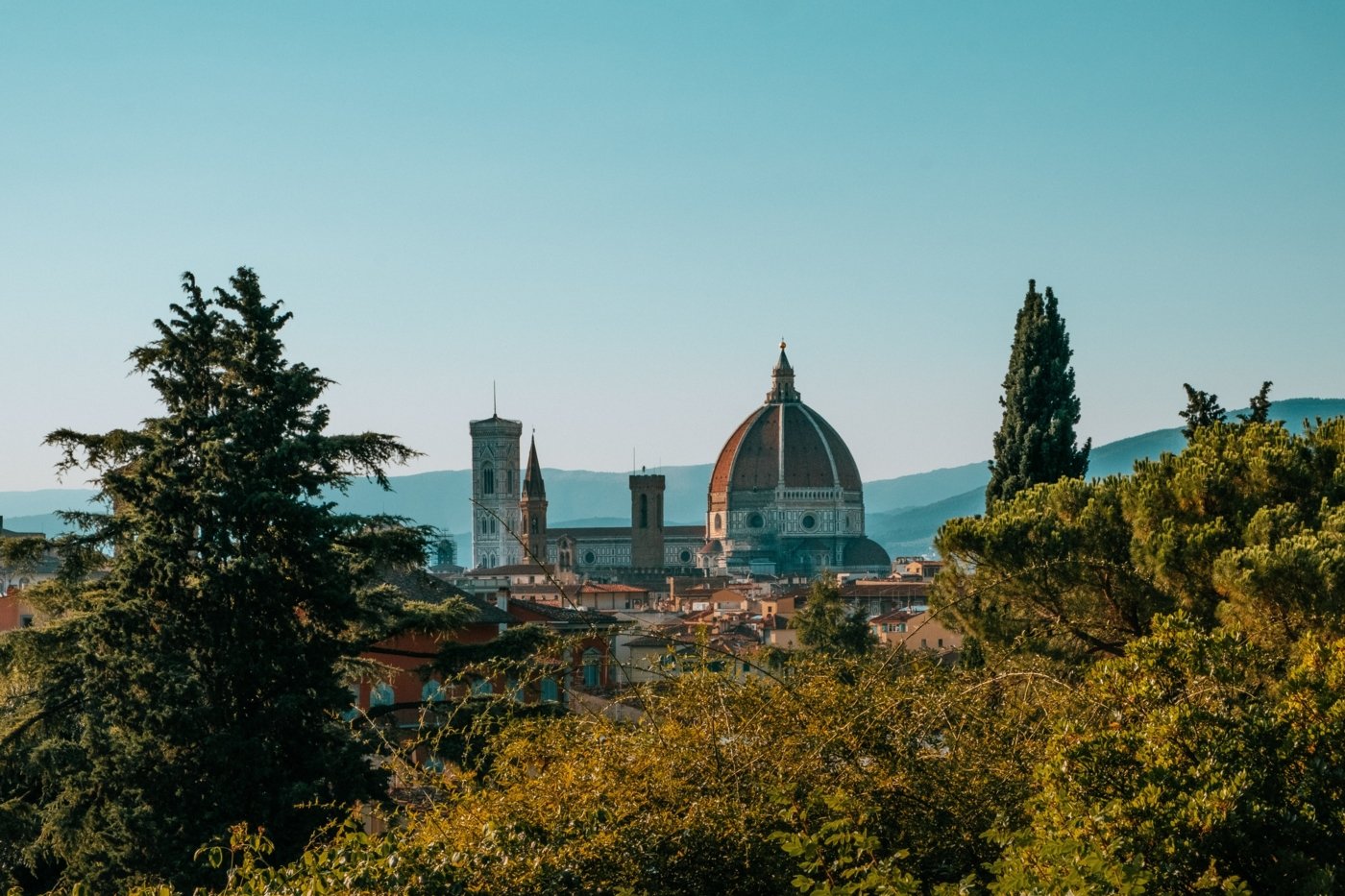 florence wine tourism - Wine Paths