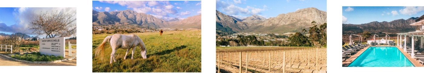 Mont Rochelle - Wine Paths