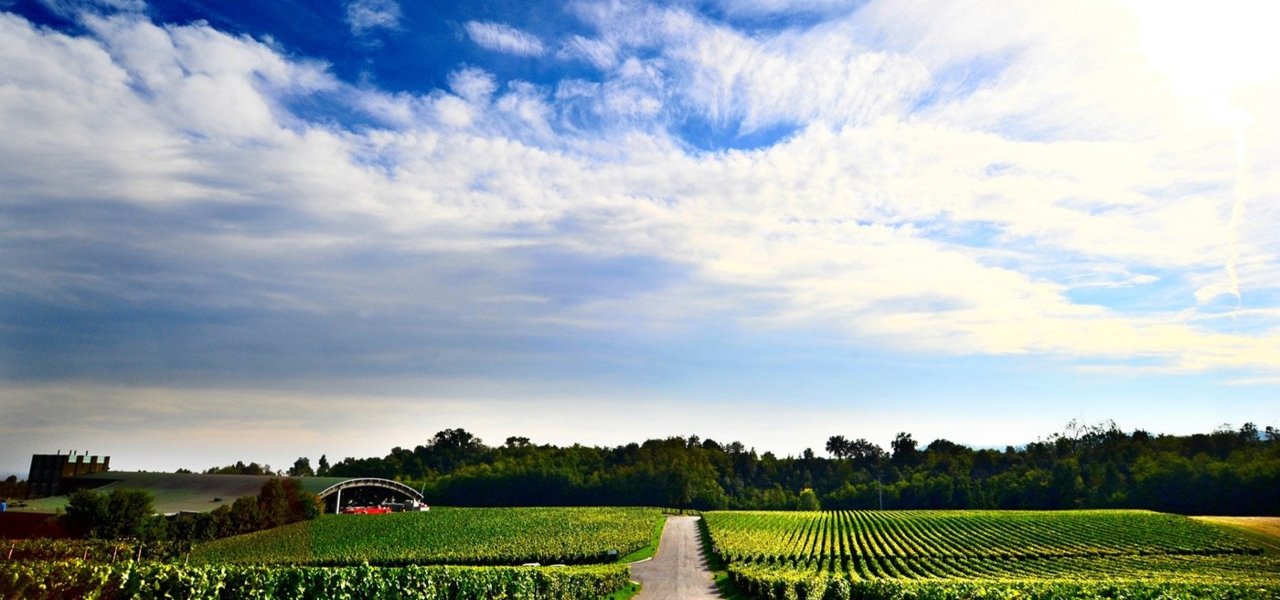 Franciacorta Landscape