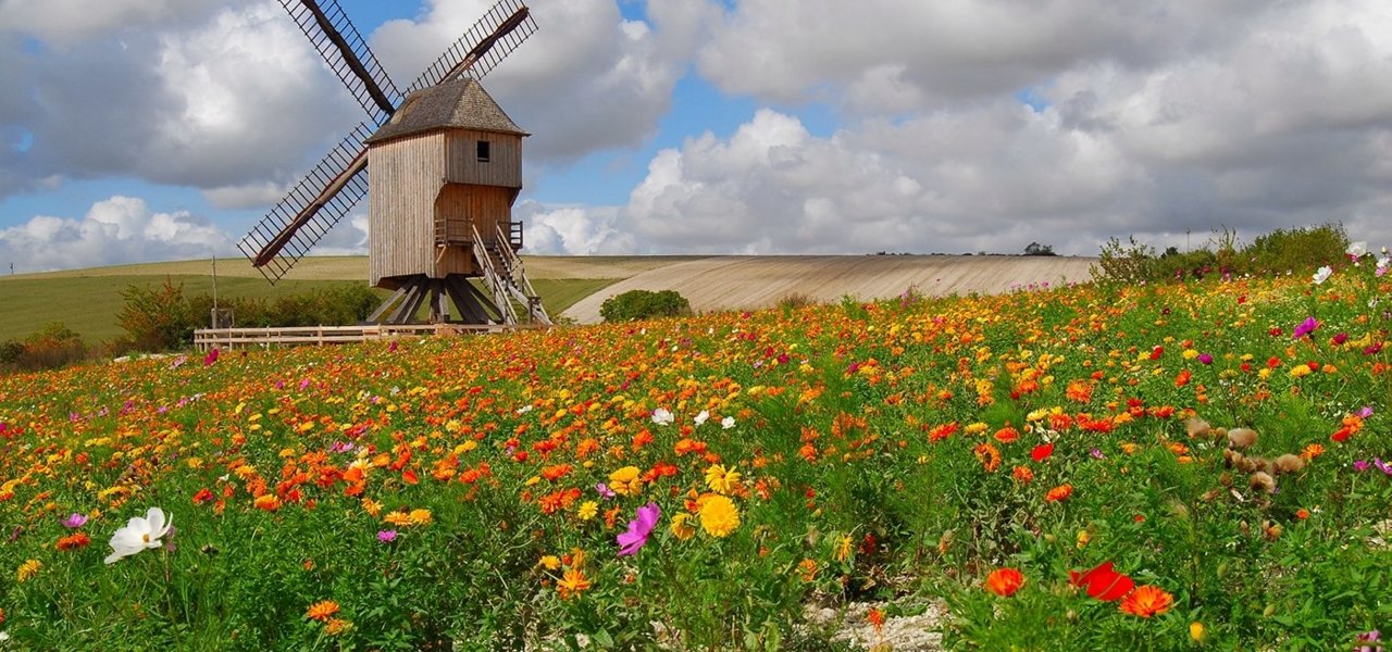 bike tours champagne region