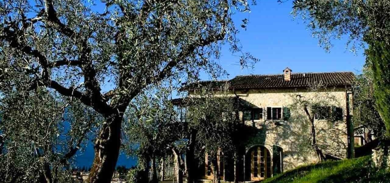 Boutique olive oil farm