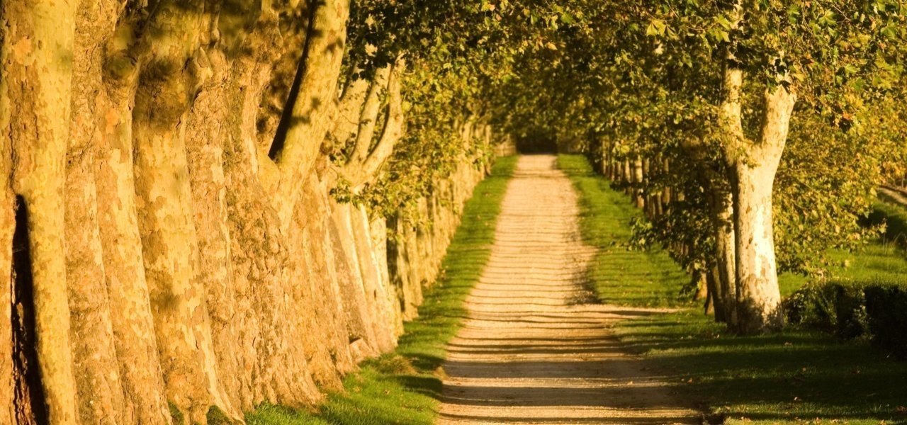 Way to Chateau Guiraud