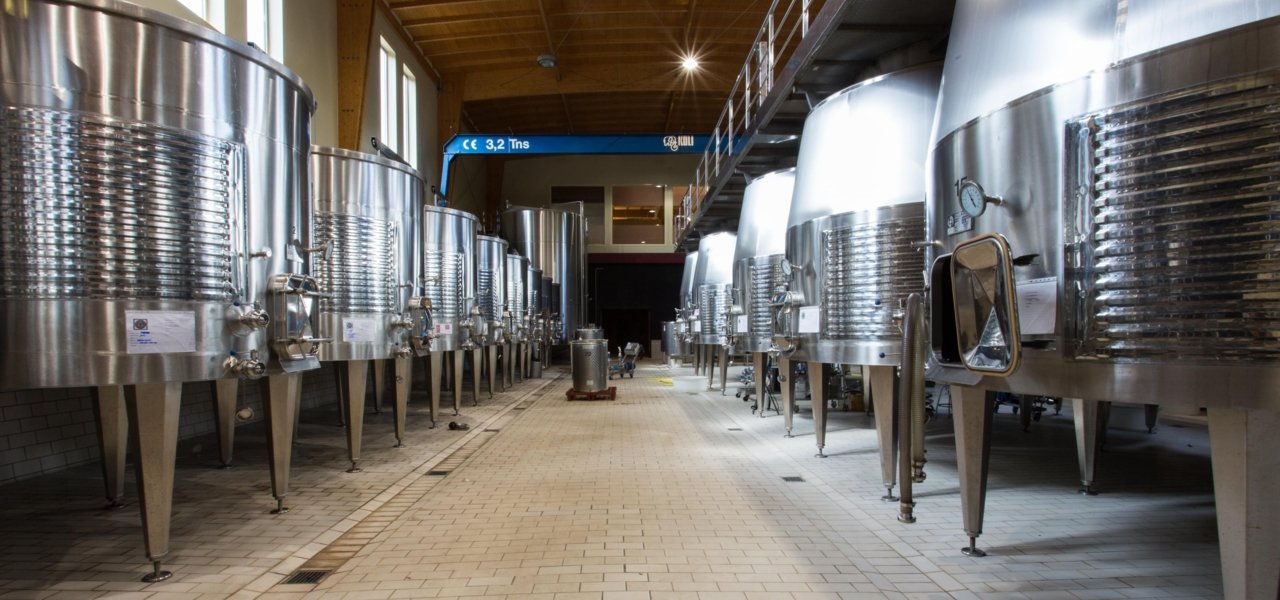 catalonia wine tours - Wine Paths