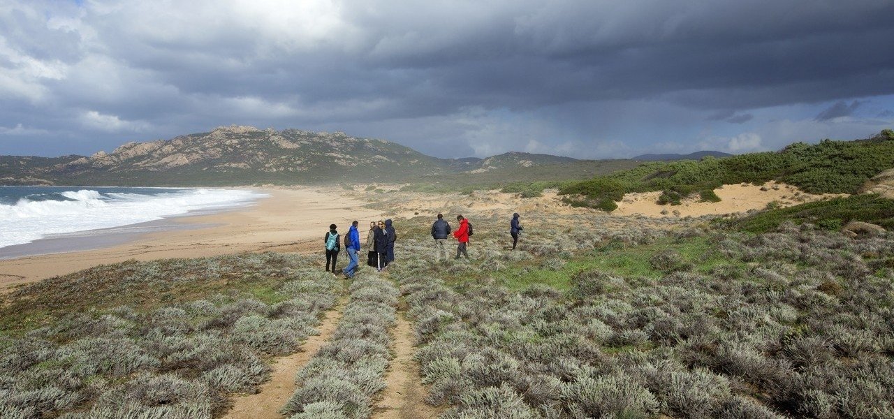 Botanic walk - Domaine de Murtoli