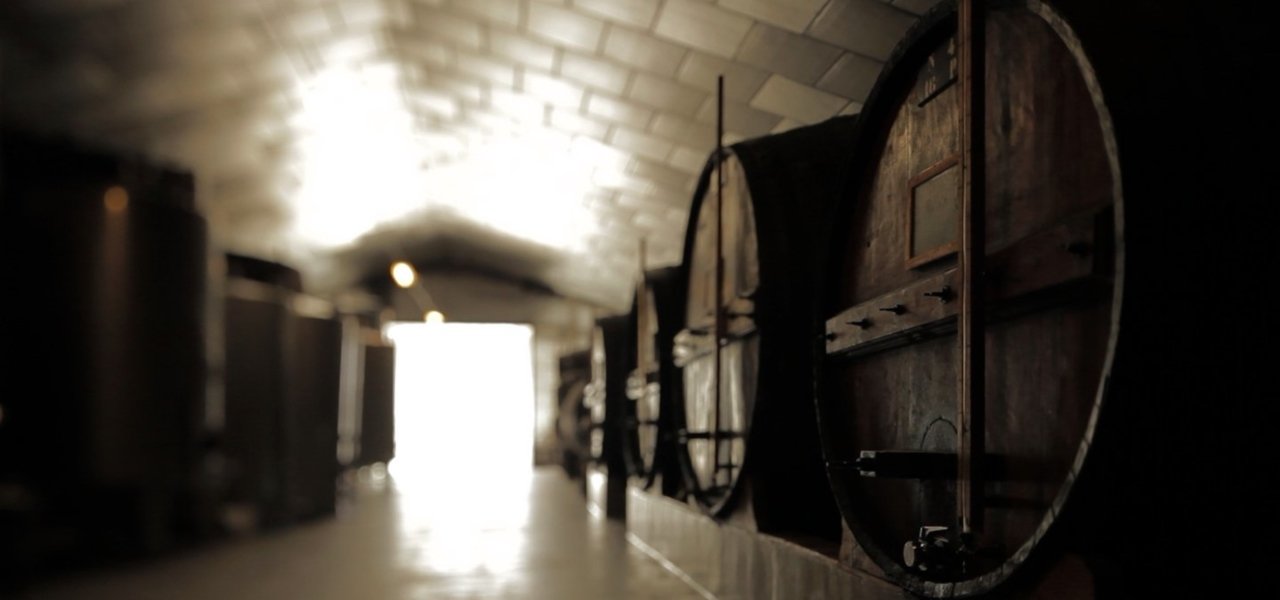 cellar quinta do noval