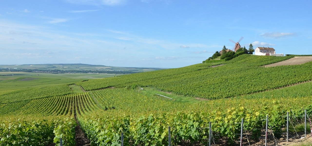 bike and wine tours chamapagne