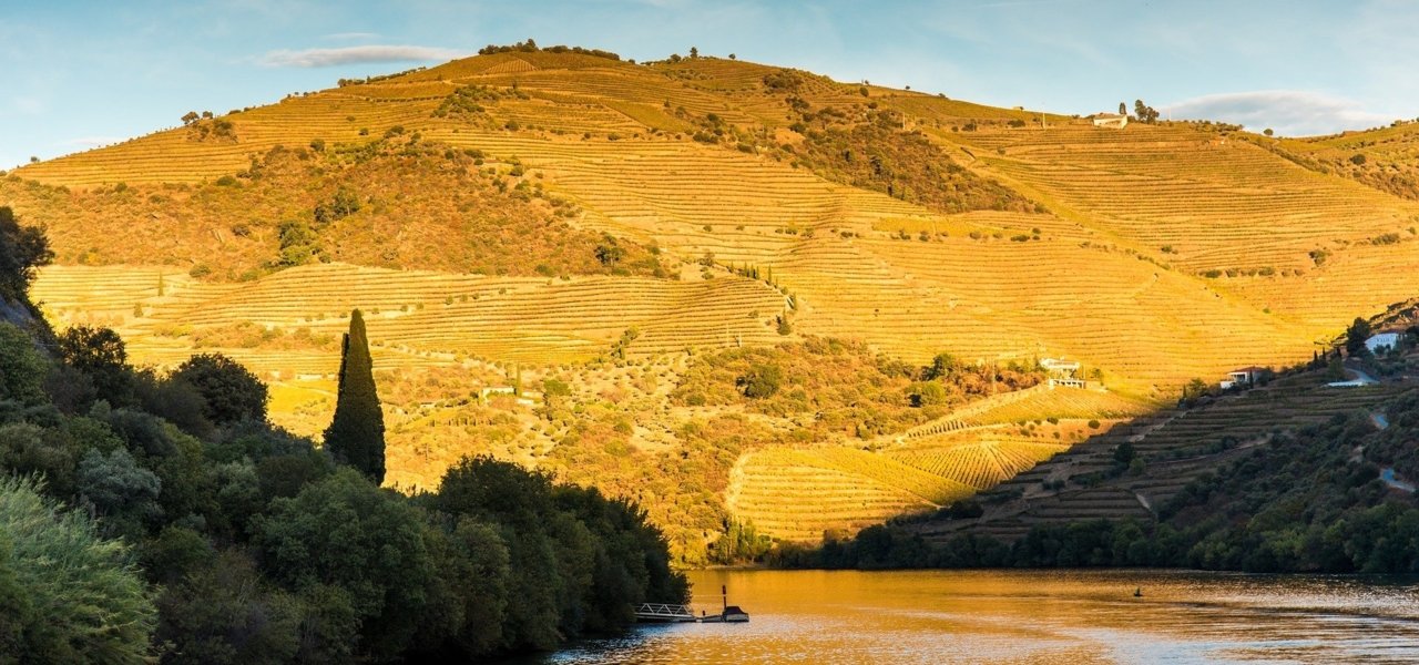 Douro Valley - Wine Paths