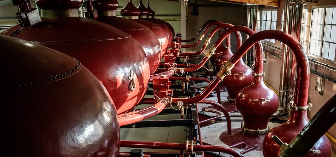 Rémy Martin - Touzac Distillery