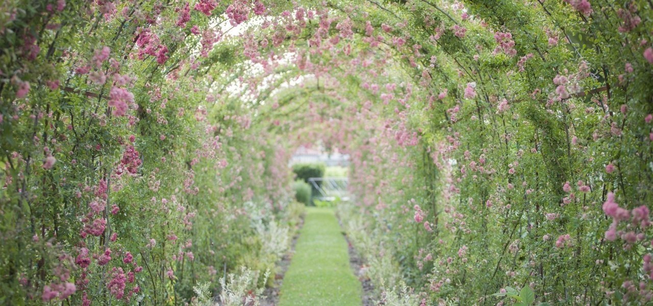 vineyard visits at chateau kirwan