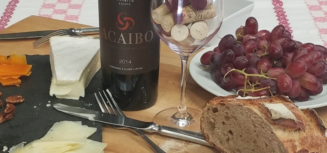 wine and food pairing at Acaibo, Napa Valley - Wine Paths