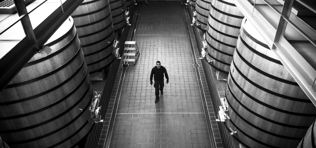 wine cellars in black and white