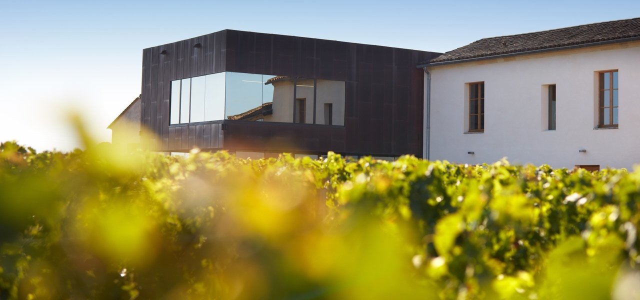 vineyards and winery