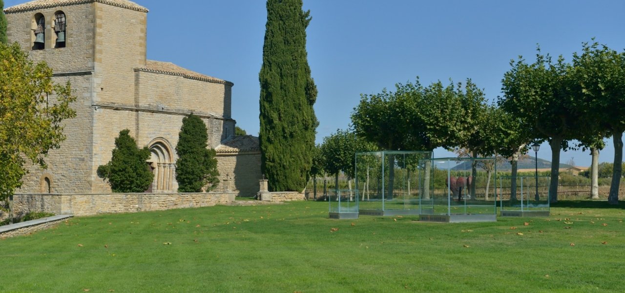 vineyards bodega otazu