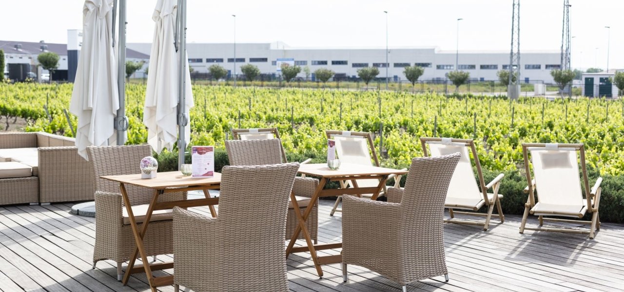 Terrace surronded by vineyards