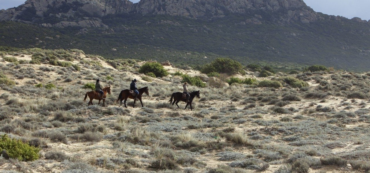 Horseback riding - Domaine de Murtoli