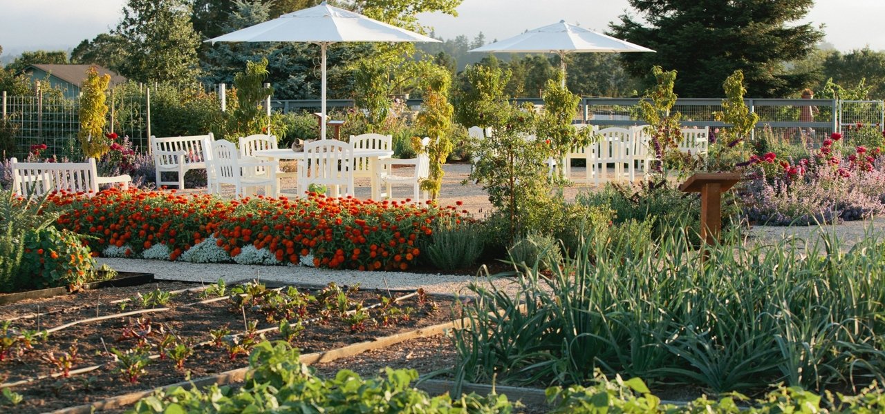 DeLoach Vineyards Gardens