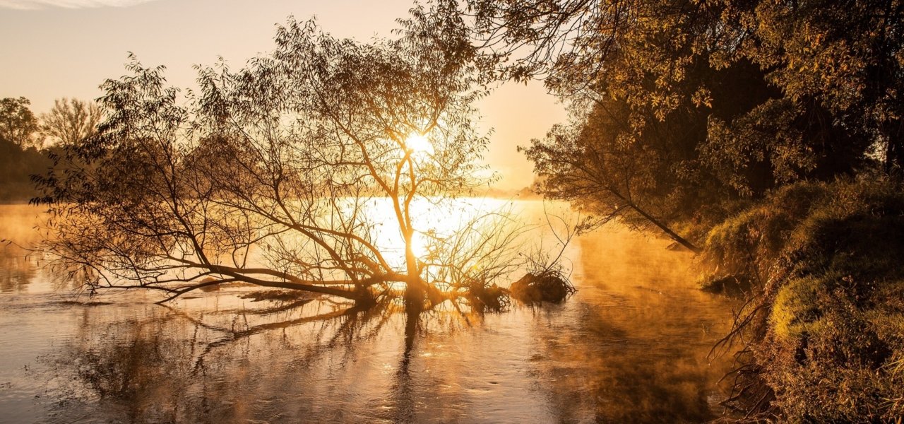 Romantic Loire - Wine Paths