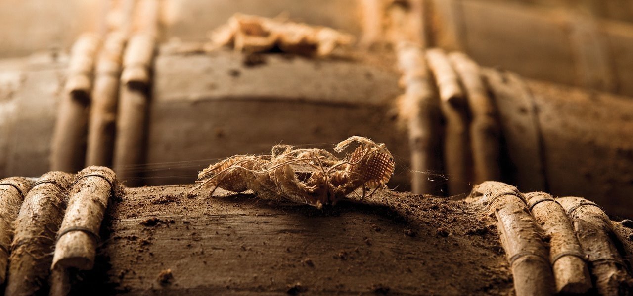 Rémy Martin - Barrels