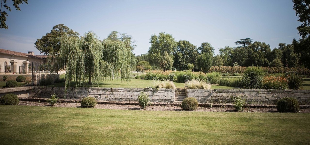 vineyards at chateau kirwan