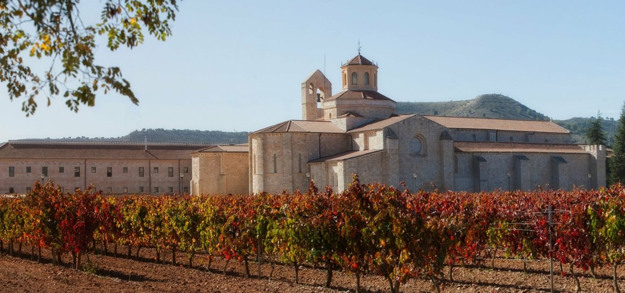 Monastery - Vineyards