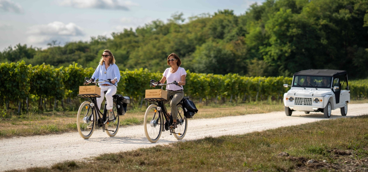 Rémy Martin Bike ride through the vineyard