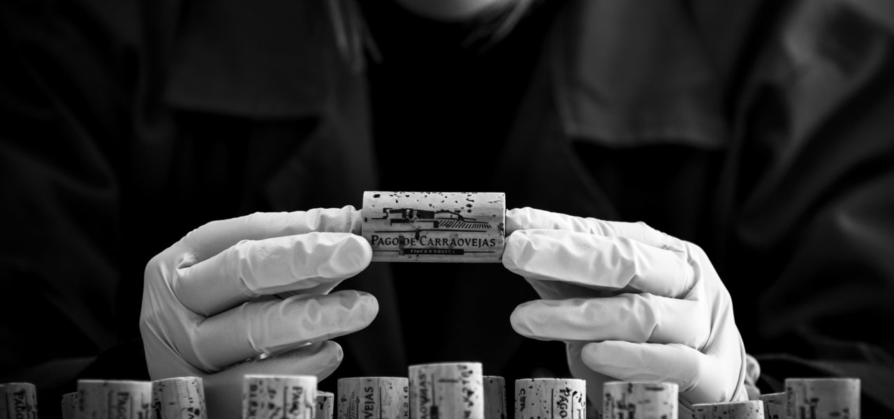 cork in black and white