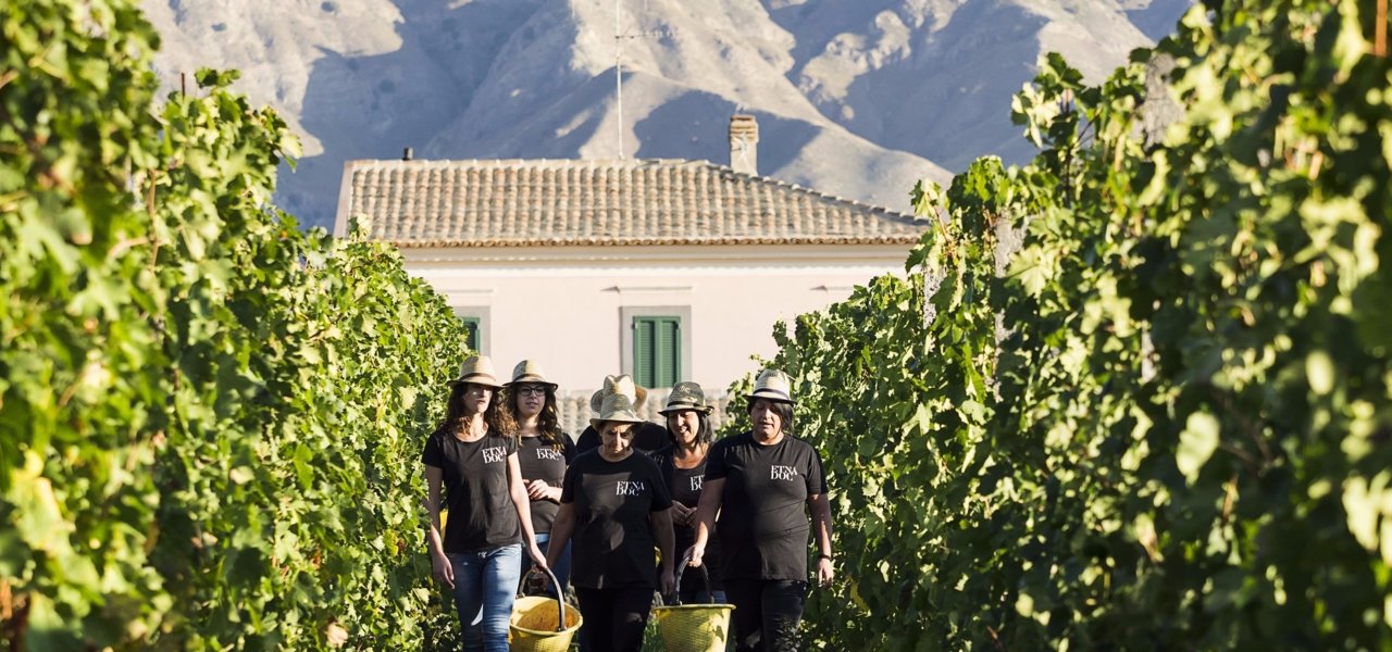 Luxury wine tasting in Sicily