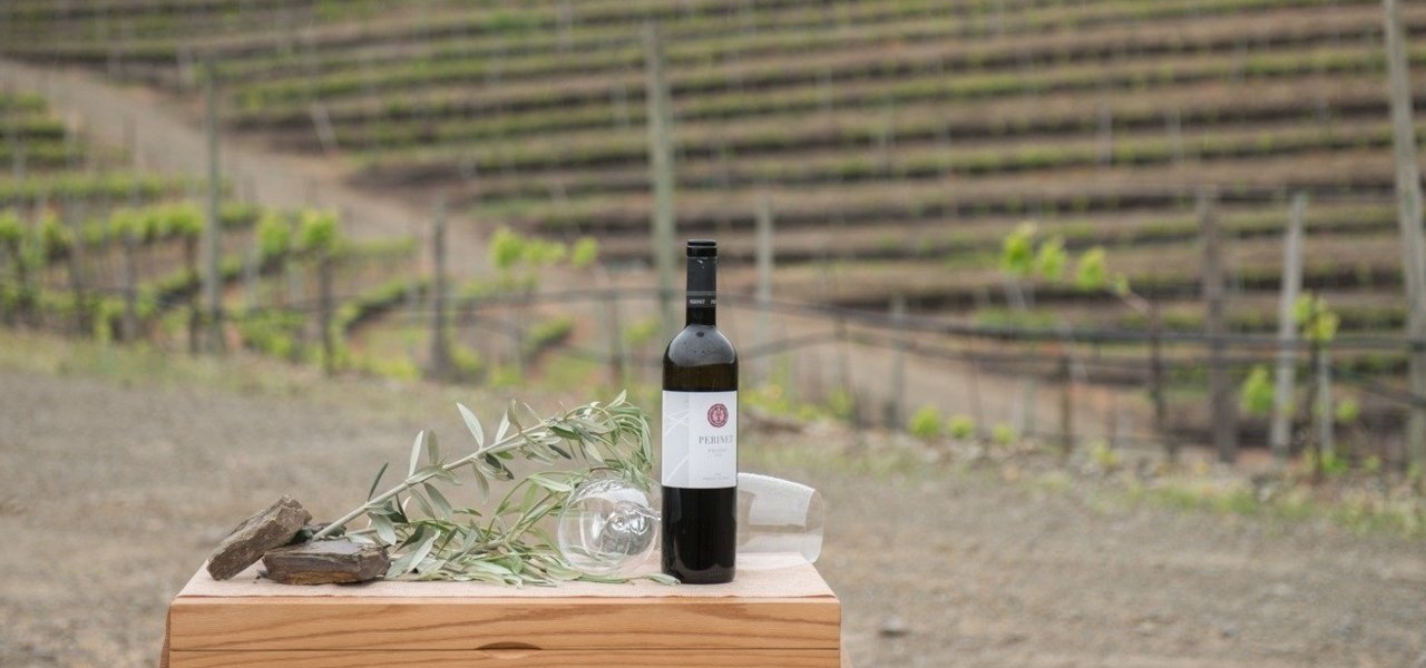 priorat wine tours - Wine Paths