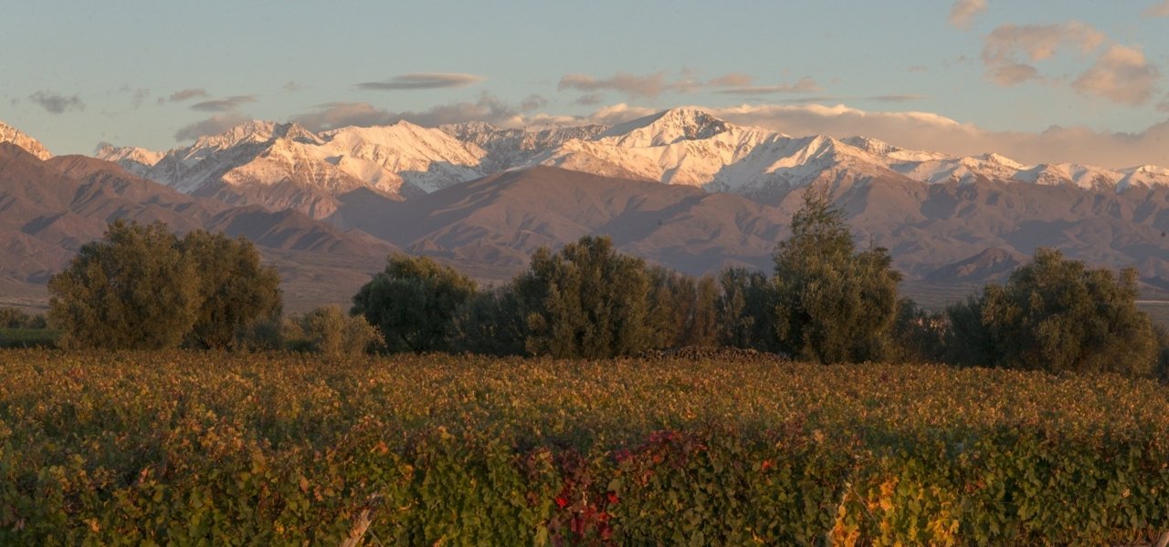 amazing view clos de los siete