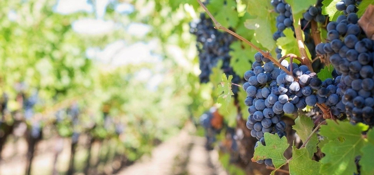 Miryam, Andalusia Local Expert